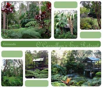 The Oasis At One Mile Beach Anna Bay Exterior photo